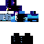 skin for blujayenderman