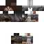 skin for Bogatyr Woj