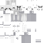 skin for BroChill123