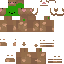 skin for brown shroom