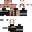 skin for bubss