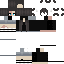skin for c6t