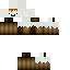 skin for cake derp