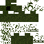 skin for Camouflage