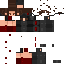 skin for Cams Skin