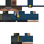 skin for canhsat