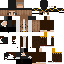 skin for captain bro