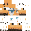 skin for Casual Fox