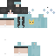 skin for cat