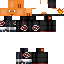skin for Charizard