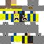 skin for CHECKERED NINJA officeal