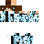 skin for compot