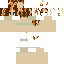 skin for coollestcat