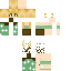 skin for Cottagecore