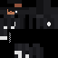 skin for Cozy