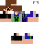 skin for CreeperFan