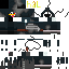 skin for Cyber Ninja Chicken