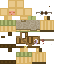 skin for Desert cosmo