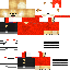 skin for doggo