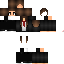 skin for DSDSD