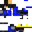 skin for DUCajob
