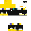 skin for duck costar