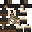 skin for dune_explorer