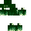 skin for E N D E R G R E E N Z