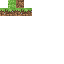 skin for Earth Block Face