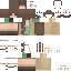 skin for edit