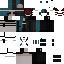 skin for editnib