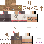 skin for eewea