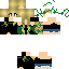 skin for Elf