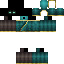 skin for Ender Wizard