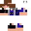 skin for EnderFan
