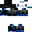 skin for Enderman