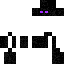 skin for Enderman