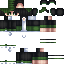 skin for erh