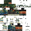 skin for ewaewa
