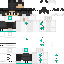 skin for EZivo101