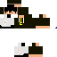 skin for for the boy