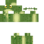 skin for Frog