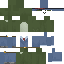 skin for Frog post man