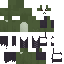 skin for Frog witch