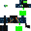 skin for Froggy