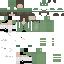 skin for froggy