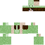 skin for Froggy Girl