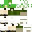 skin for froggy hat