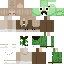 skin for frogue