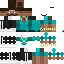 skin for gee